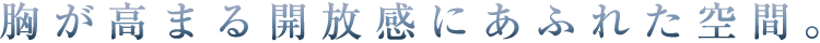 胸が高まる開放感にあふれた空間。