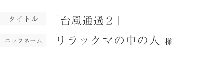 台風通過２｜リラックマの中の人様